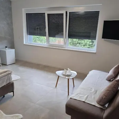 Georgiana 2 * Timişoara