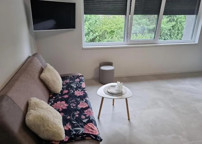 Georgiana 2 Appartement Timişoara