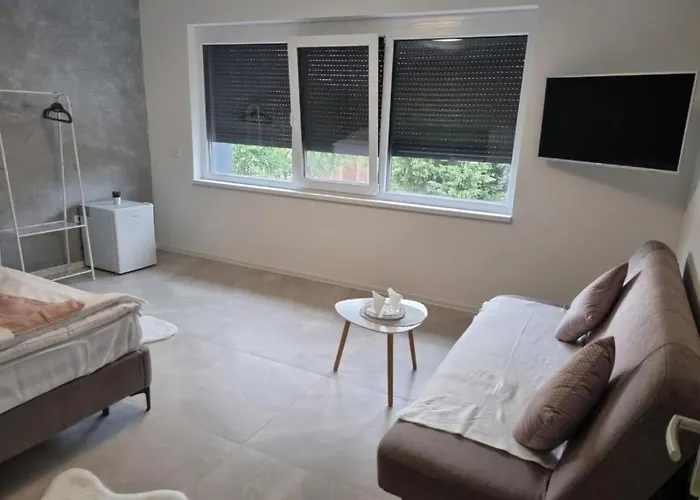 Georgiana 2 * Timişoara